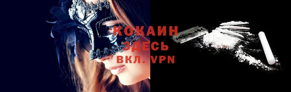 хмурый Абаза
