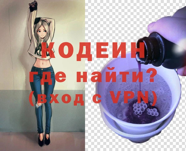 хмурый Абаза