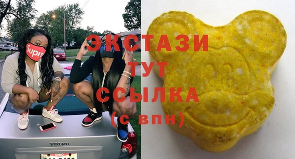 хмурый Абаза
