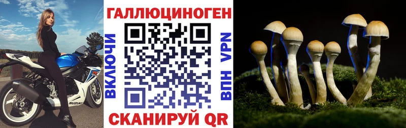 закладки  MEGA зеркало  Псилоцибиновые грибы Cubensis  Нижняя Тура 