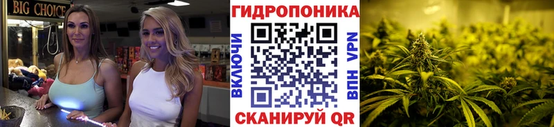 Канабис MAZAR  купить   Нижняя Тура 